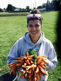 A woman stands in a grassy field holding out a large bunch of orange carrots. 